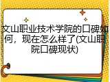 文山职业技术学院的口碑如何，现在怎么样了(文山职院口碑现状)