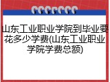 山东工业职业学院到毕业要花多少学费(山东工业职业学院学费总额)