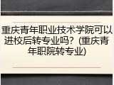 重庆青年职业技术学院可以进校后转专业吗？(重庆青年职院转专业)