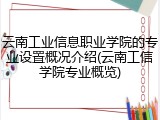 云南工业信息职业学院的专业设置概况介绍(云南工信学院专业概览)
