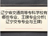 辽宁省交通高等专科学校有哪些专业，王牌专业分析(辽宁交专专业与王牌)