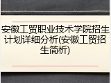 安徽工贸职业技术学院招生计划详细分析(安徽工贸招生简析)