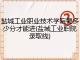 盐城工业职业技术学院要多少分才能进(盐城工业职院录取线)