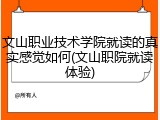 文山职业技术学院就读的真实感觉如何(文山职院就读体验)