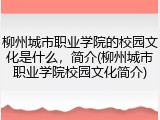 柳州城市职业学院的校园文化是什么，简介(柳州城市职业学院校园文化简介)