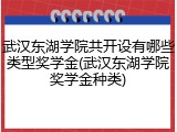 武汉东湖学院共开设有哪些类型奖学金(武汉东湖学院奖学金种类)