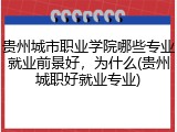 贵州城市职业学院哪些专业就业前景好，为什么(贵州城职好就业专业)