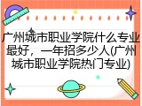 广州城市职业学院什么专业最好，一年招多少人(广州城市职业学院热门专业)