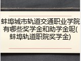 蚌埠城市轨道交通职业学院有哪些奖学金和助学金呢(蚌埠轨道职院奖学金)