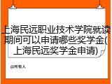 上海民远职业技术学院就读期间可以申请哪些奖学金(上海民远奖学金申请)
