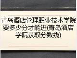 青岛酒店管理职业技术学院要多少分才能进(青岛酒店学院录取分数线)