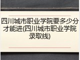 四川城市职业学院要多少分才能进(四川城市职业学院录取线)