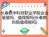 长春数字科技职业学院含金量量吗，值得报吗(长春数科院值得报吗)
