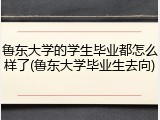 鲁东大学的学生毕业都怎么样了(鲁东大学毕业生去向)