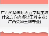 广西英华国际职业学院主攻什么方向有哪些王牌专业(广西英华王牌专业)