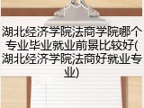湖北经济学院法商学院哪个专业毕业就业前景比较好(湖北经济学院法商好就业专业)