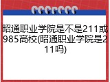 昭通职业学院是不是211或985高校(昭通职业学院是211吗)
