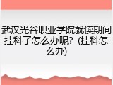 武汉光谷职业学院就读期间挂科了怎么办呢？(挂科怎么办)