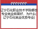 辽宁石化职业技术学院哪些专业就业前景好，为什么(辽宁石化就业优势专业)