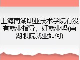 上海南湖职业技术学院有没有就业指导，好就业吗(南湖职院就业如何)