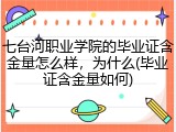 七台河职业学院的毕业证含金量怎么样，为什么(毕业证含金量如何)