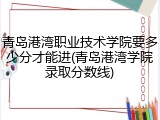 青岛港湾职业技术学院要多少分才能进(青岛港湾学院录取分数线)