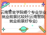 云南警官学院哪个专业毕业就业前景比较好(云南警院就业前景好专业)
