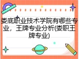 娄底职业技术学院有哪些专业，王牌专业分析(娄职王牌专业)