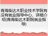 青海柴达木职业技术学院有没有就业指导中心，详细介绍(青海柴达木职院就业指导)