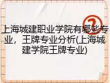 上海城建职业学院有哪些专业，王牌专业分析(上海城建学院王牌专业)