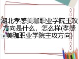 湖北孝感美珈职业学院主攻方向是什么，怎么样(孝感美珈职业学院主攻方向)