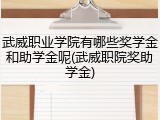 武威职业学院有哪些奖学金和助学金呢(武威职院奖助学金)