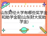 山东财经大学有哪些奖学金和助学金呢(山东财大奖助学金)