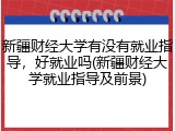 新疆财经大学有没有就业指导，好就业吗(新疆财经大学就业指导及前景)