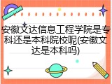 安徽文达信息工程学院是专科还是本科院校呢(安徽文达是本科吗)