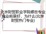 北京财贸职业学院哪些专业就业前景好，为什么(北京财贸热门专业)