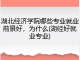湖北经济学院哪些专业就业前景好，为什么(湖经好就业专业)