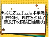 黑龙江农业职业技术学院的口碑如何，现在怎么样了(黑龙江农职院口碑现状)