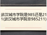 武汉城市学院是985还是211(武汉城市学院非985211)