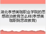 湖北孝感美珈职业学院的思想政治教育怎么样(孝感美珈职院思政教育)