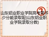 山东铝业职业学院高考需多少分能录取呢(山东铝业职业学院录取分数)