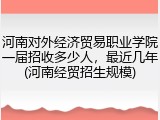 河南对外经济贸易职业学院一届招收多少人，最近几年(河南经贸招生规模)