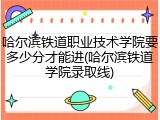 哈尔滨铁道职业技术学院要多少分才能进(哈尔滨铁道学院录取线)