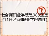 七台河职业学院是985还是211(七台河职业学院属性)