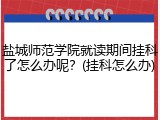 盐城师范学院就读期间挂科了怎么办呢？(挂科怎么办)