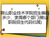 鞍山职业技术学院招生编码多少，隶属哪个部门(鞍山职院招生代码归属)