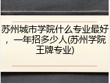苏州城市学院什么专业最好，一年招多少人(苏州学院王牌专业)