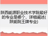 陕西能源职业技术学院最好的专业是哪个，详细阐述(陕能院王牌专业)