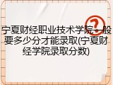 宁夏财经职业技术学院一般要多少分才能录取(宁夏财经学院录取分数)