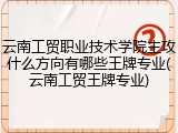 云南工贸职业技术学院主攻什么方向有哪些王牌专业(云南工贸王牌专业)